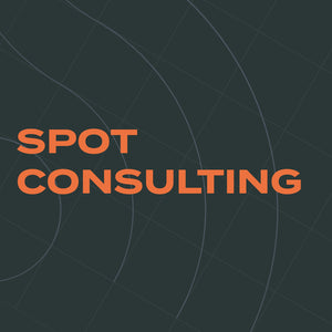Spot Consulting